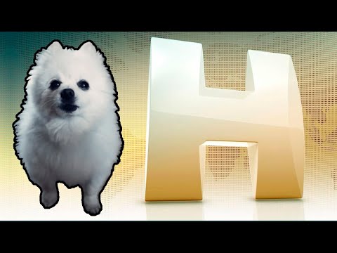 Jornal Hoje em cachorrês