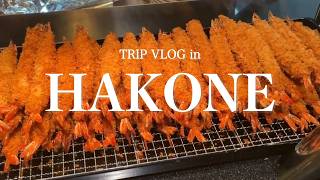 【箱根vlog】箱根ホテル小涌園のビュッフェが豪華すぎた