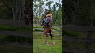 Vai lá Kauan 🐎💨