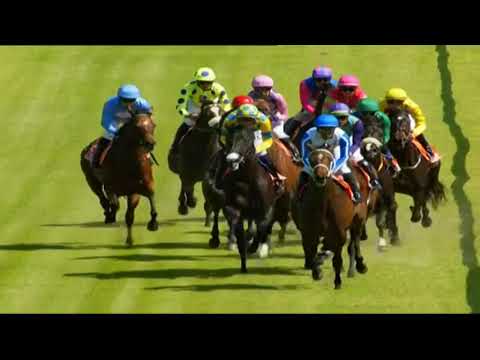 2021.12.04 Cape Fillies Guineas (RSA) - Chansonette