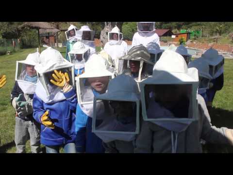 Les abelles i la mel (escoles)