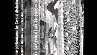 Crystal Distortion - Sometimes During Our Later Day Digital Age - Face A&B - 2001