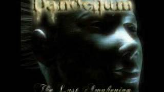 Dandelium - Introspective