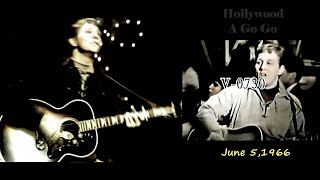 Bob Lind  Feb 1966 - Elusive Butterfly  &amp;  Cheryl's Going Home  (Stereo Mixed)