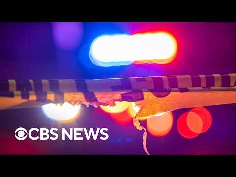Why violent crime plummeted in the U.S. in 2025