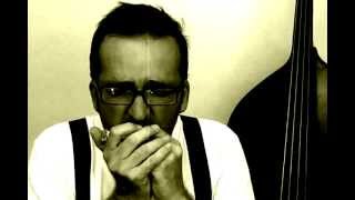 Big Walter Horton Boogie - 1st part - Intro. Blues Harp - Advanced level