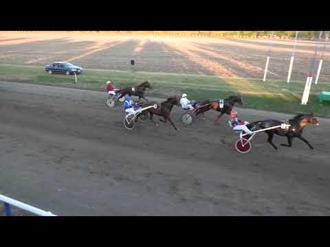 Trka "VIII kasačka trka" 31.20.2021 Petar Pan Kulpin - Marko Gajić