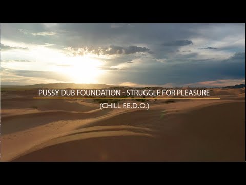 Pussy Dub Foundation - Struggle For Pleasure (Chill F.E.D.O.)