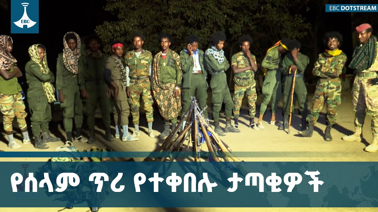 በጎንደር ዙሪያ ወረዳና ደንቢያ አካባቢዎች ወደ ሰላም የተመለሱ ታጣቂዎች ስለ ስምምነ?