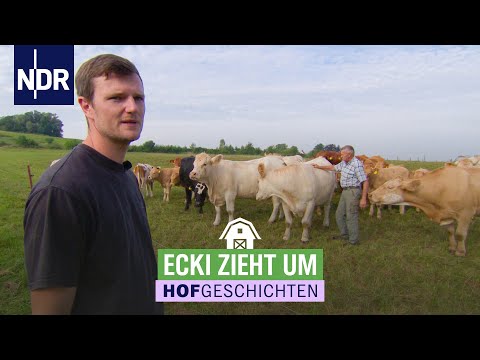 Eine neue Weide für die Tiere | Hofgeschichten: Leben auf dem Land (300) | NDR