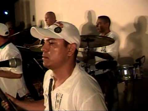 INSEPARABLES DE VENEZUELA. CACHETE, PECHITO Y OMBLIGO.