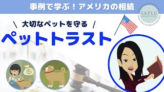アメリカの相続：残されたペットはどうなる!? #shorts  #わんこ #わんこがいる生活 #愛犬  #相続 #エステートプランニング #就活