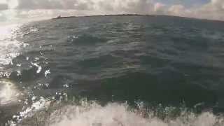 preview picture of video 'dauphins saint vaast la hougue le 11/10/2014 à 14h_1'