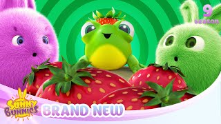 Download lagu Mischievous Mimi - SUNNY BUNNIES | BRAND NEW EPISODE | Season 9 | Cartoons for Kids mp3