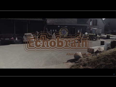 0% Talk 100% Tones - Echobrain Analog Delay