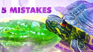 5 Mistakes Taking care of a Turtle 🐢 RED EARED SLIDER