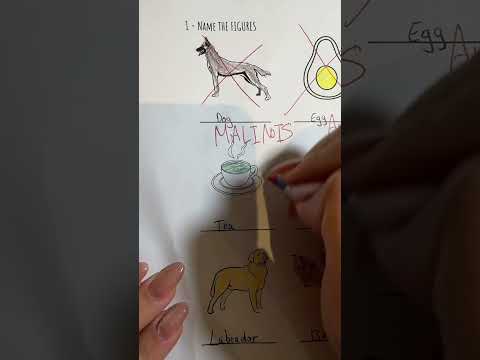 Grading Test #shorts #memes