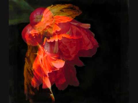 Medieval music - Quam pulchra es by John Dunstaple (aka Dunstable)