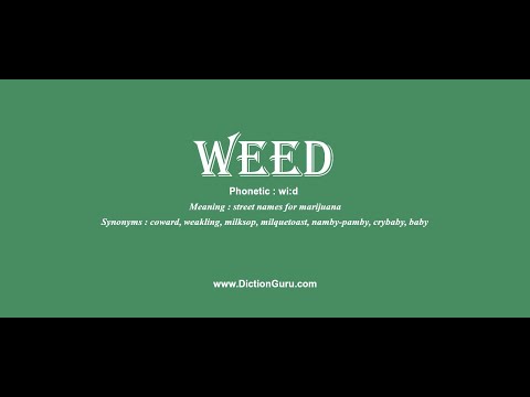 weed: How to pronounce weed with Phonetic and Examples
