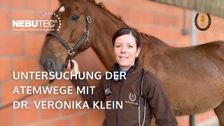 Atemwege beim Pferd untersuchen mit Fachtierärztin für Pferde Dr. Veronika Klein | NEBU-TEC
