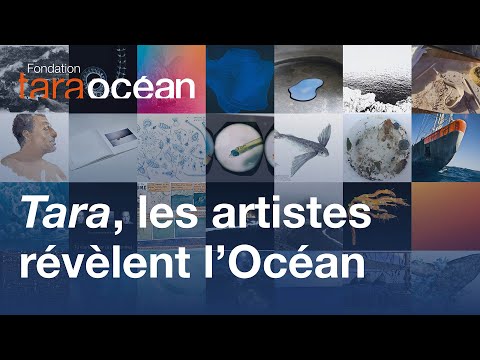 Au cœur de la Grande Expédition : une exploration artistique de l’Océan à bord de Tara