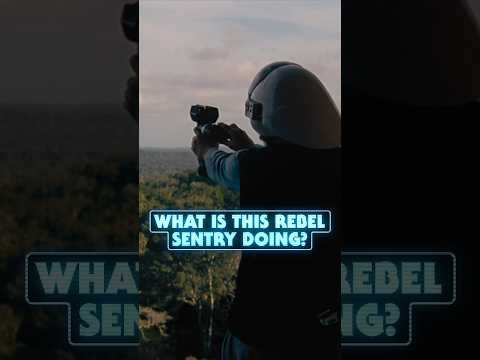 What is the Rebel Sentry's Purpose on Yavin 4? #starwars