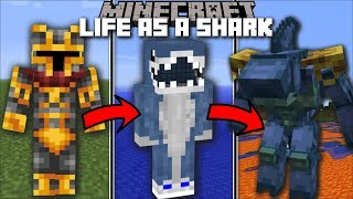 Minecraft LIFE AS A SHARK MOD / FIGHT AND BECOME AQUATIC GIANT BEAST!! Minecraft