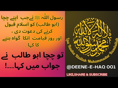 Hazrat Abu Talib Ne Islam Kabool Kiya Tha Ya Nahi | Sahih muslim Hadees No 135 | Hadith | DEEN-E-HAQ