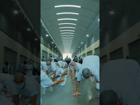 the real gangstear.. #cecot #mafiya#ms30