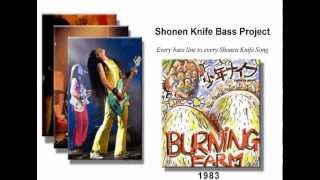 Shonen Knife Bass Project - Parallel Woman Take 2.mpg