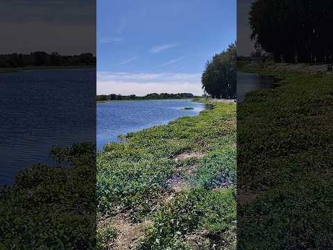 Laguna de San Vicente en Buenos Aires Argentina