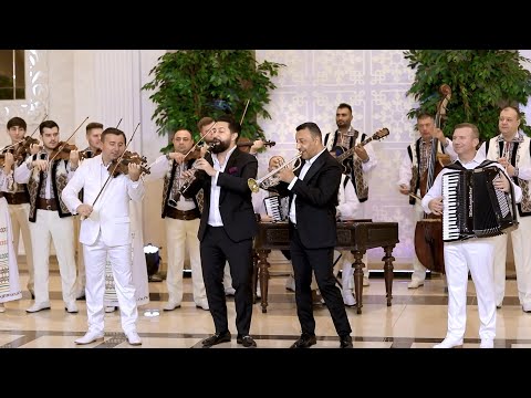 Cristi Tractor❌Alex Cantea❌Orchestra Fratilor ADVAHOV - RUSEASCĂ ☘️🥂(Official Video)2022