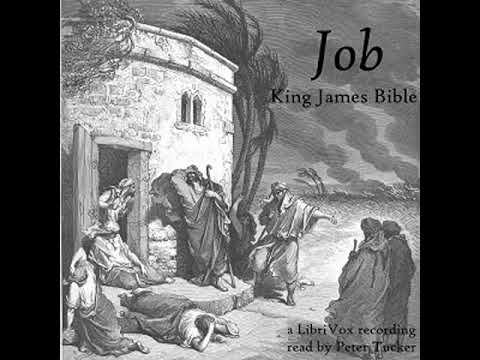 Bible (KJV) 18: Job (version 2) by KING JAMES VERSION read by Peter Tucker | Full Audio Book