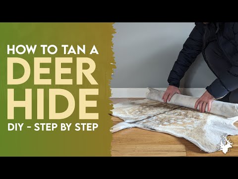 How to tan a deer hide/skin (start to finish) | DIY taxidermy guide