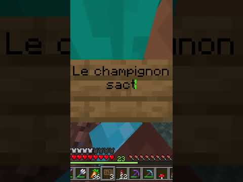 Unbelievable Twitch Clip: Sacred Champi in Minecraft!