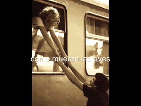 El Tren video