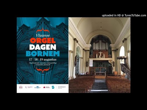 Deel 2: orgelwedstrijd Marc Van Driessen (Bornem 2017)