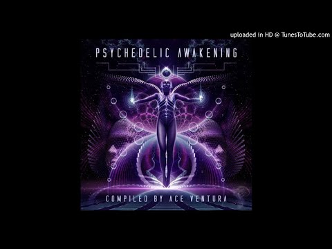 Fungus Funk - Protomolecule