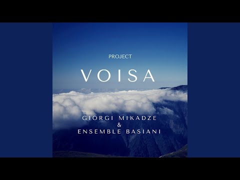 Voisa (feat. Raydar Ellis)