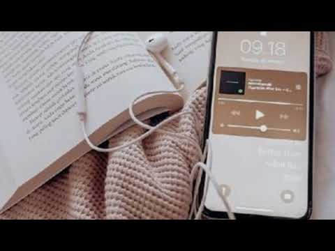 No pude olvidarte - Binomio de oro (letra) vallenato