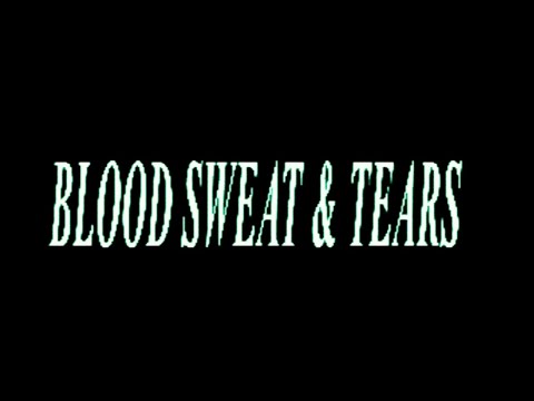 Video Blood, Sweat & Tears (Letra) de Ava Max