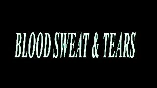 Kadr z teledysku Blood, Sweat & Tears tekst piosenki Ava Max