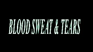 Ava Max - Blood, Sweat &amp; Tears [Official Lyric Video]