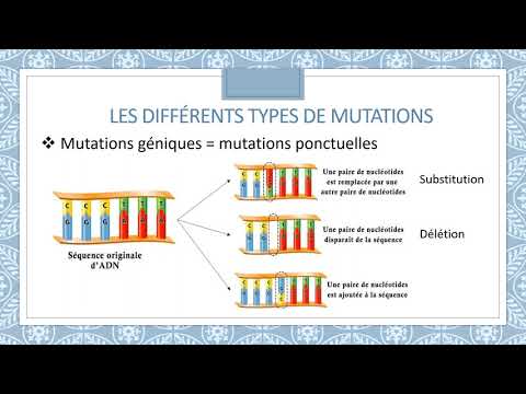 Mutations et systèmes de réparation de l'ADN