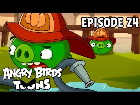 Angry Birds Toons | Hog Roast - S1 Ep24