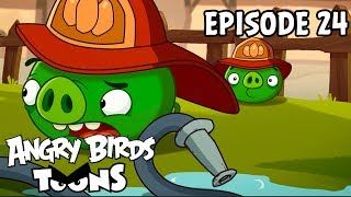 Angry Birds Toons | Hog Roast - S1 Ep24