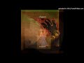 Rapoon "Sunshine In the Parlour" (2010)