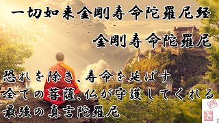 一切如来金剛寿命陀羅尼経　金剛寿命陀羅尼　すべての仏と菩薩が加護してくれる最強の真言陀羅尼６篇の内の一つ　多くの人々に施すと大きな功徳が得られる新型コロナ終息を祈る　JAPAN　PRAY