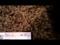 VHS Update 10 14 14