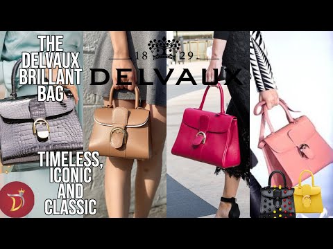 Visão geral da DELVAUX BRILLANT LUXURY BAG (tudo o que você precisa saber)